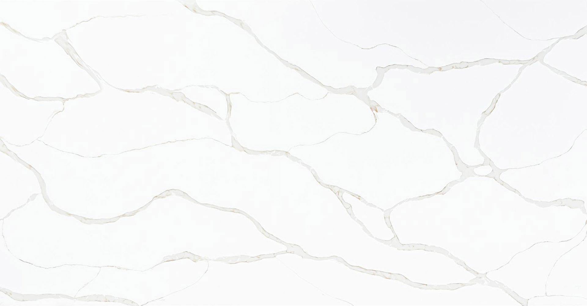 Calacatta Angelica Slabs - image