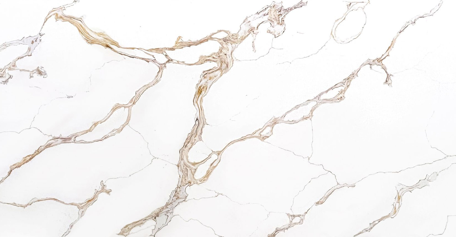 Calacatta Fiorina Slabs - image