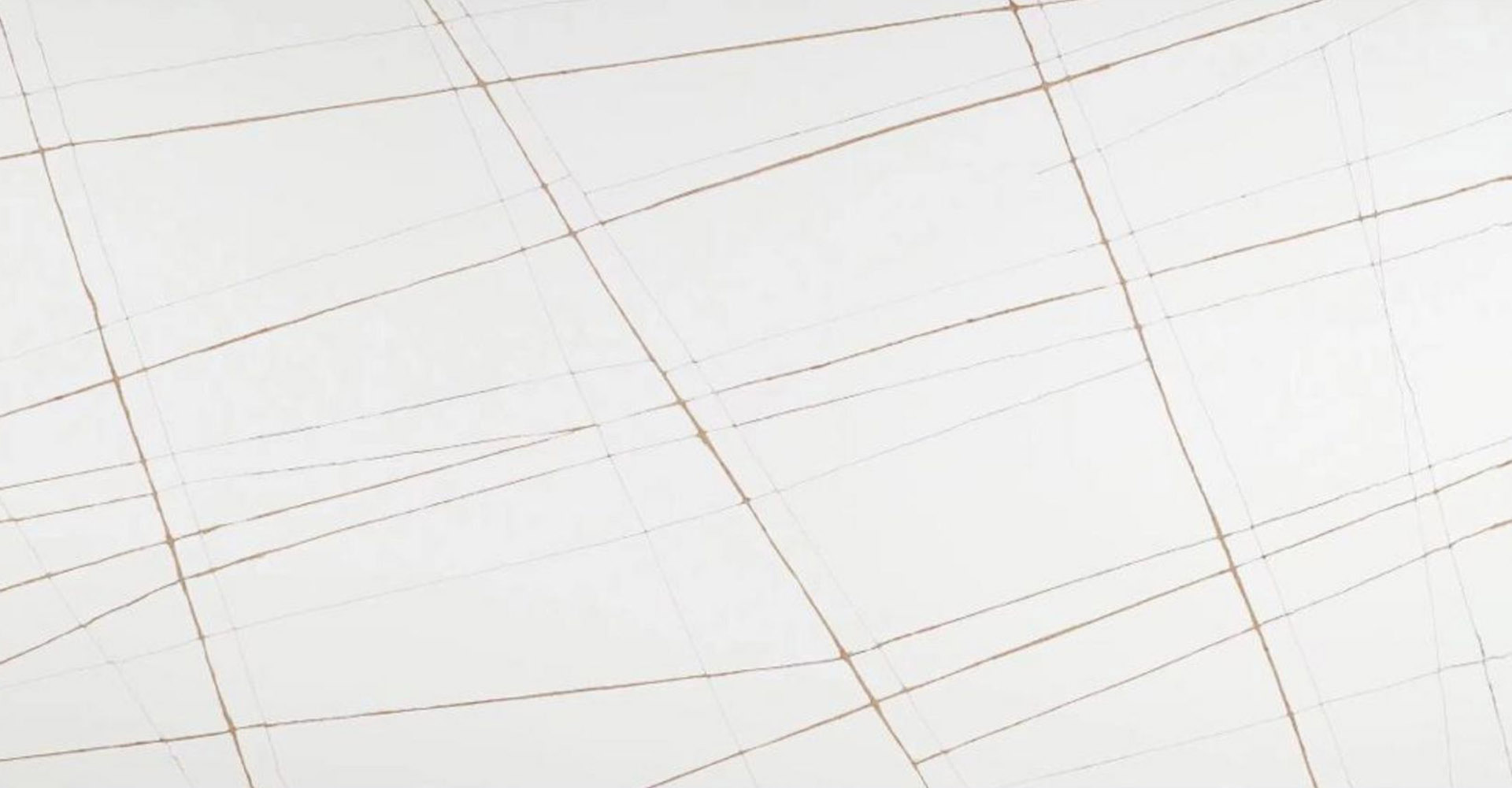 Calacatta Florence Slabs - image