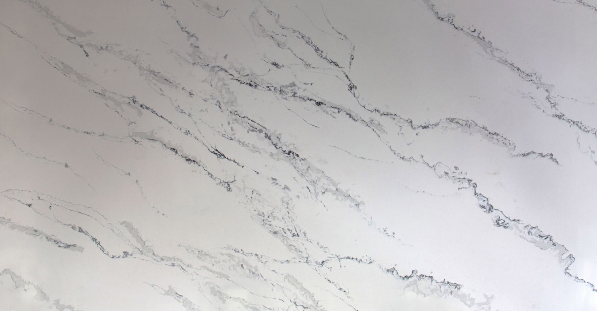 Calacatta Siena Slabs - image