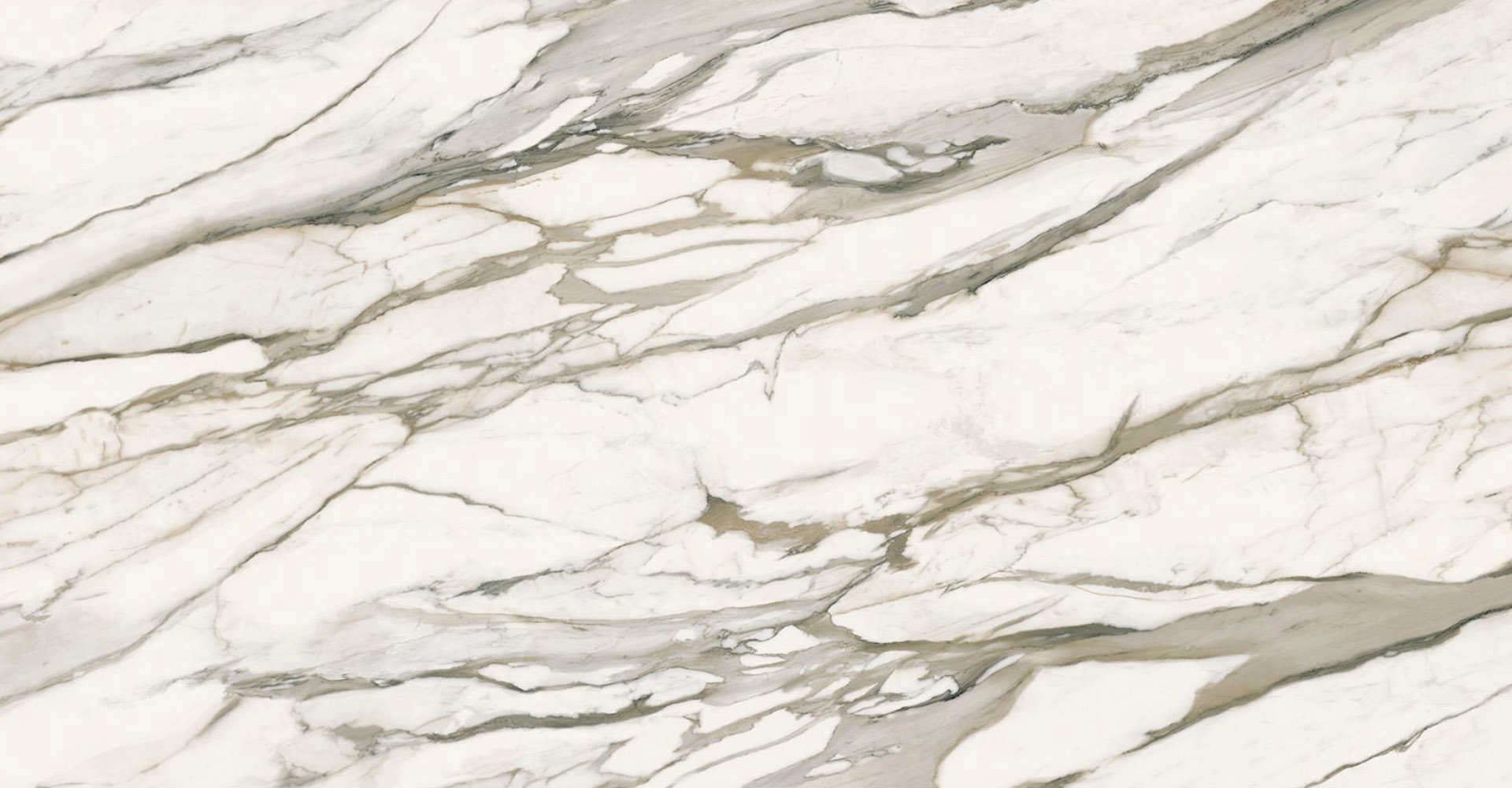 Calacatta Venato Slabs - image