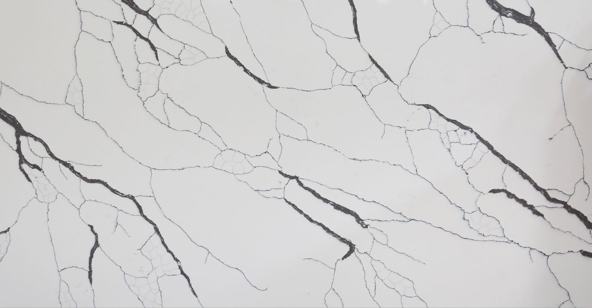 Calacatta Black Slabs - image