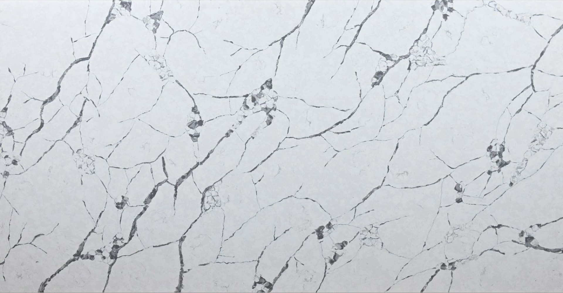 Calacatta Cohina Slabs - image