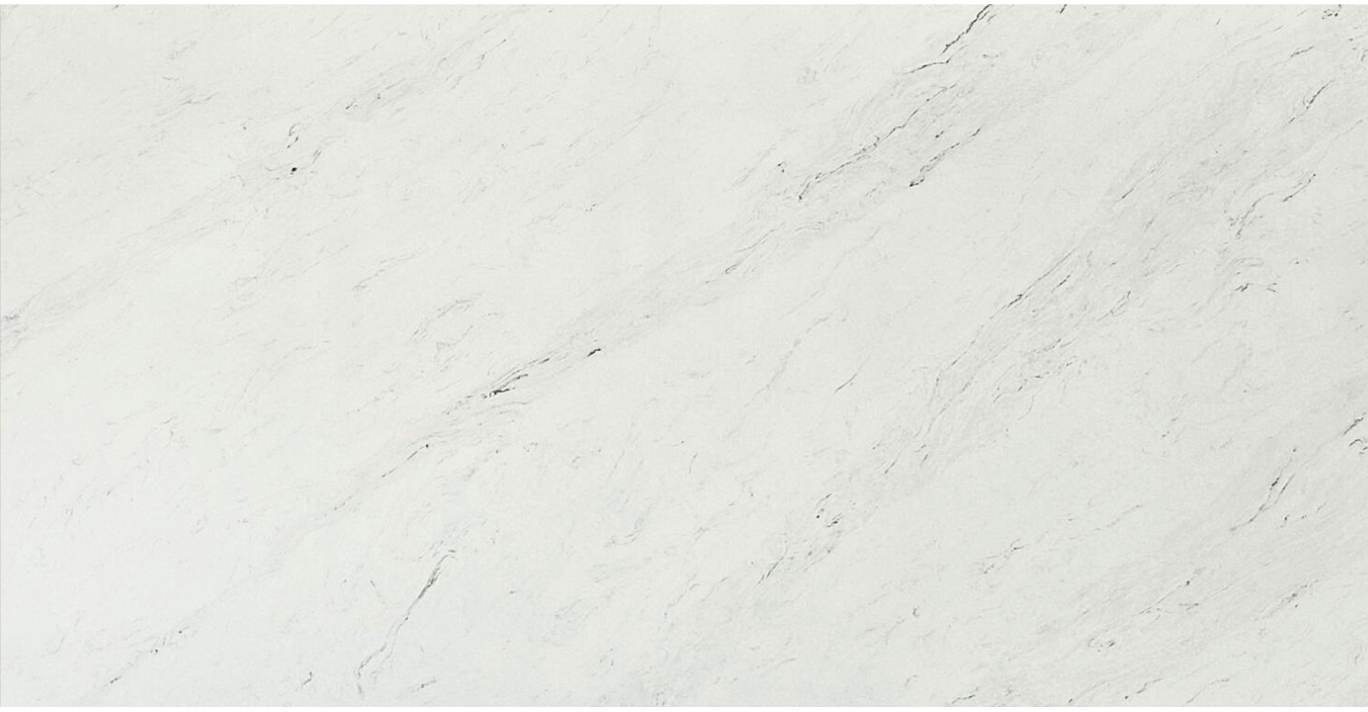 Calacatta Gris Slabs - image