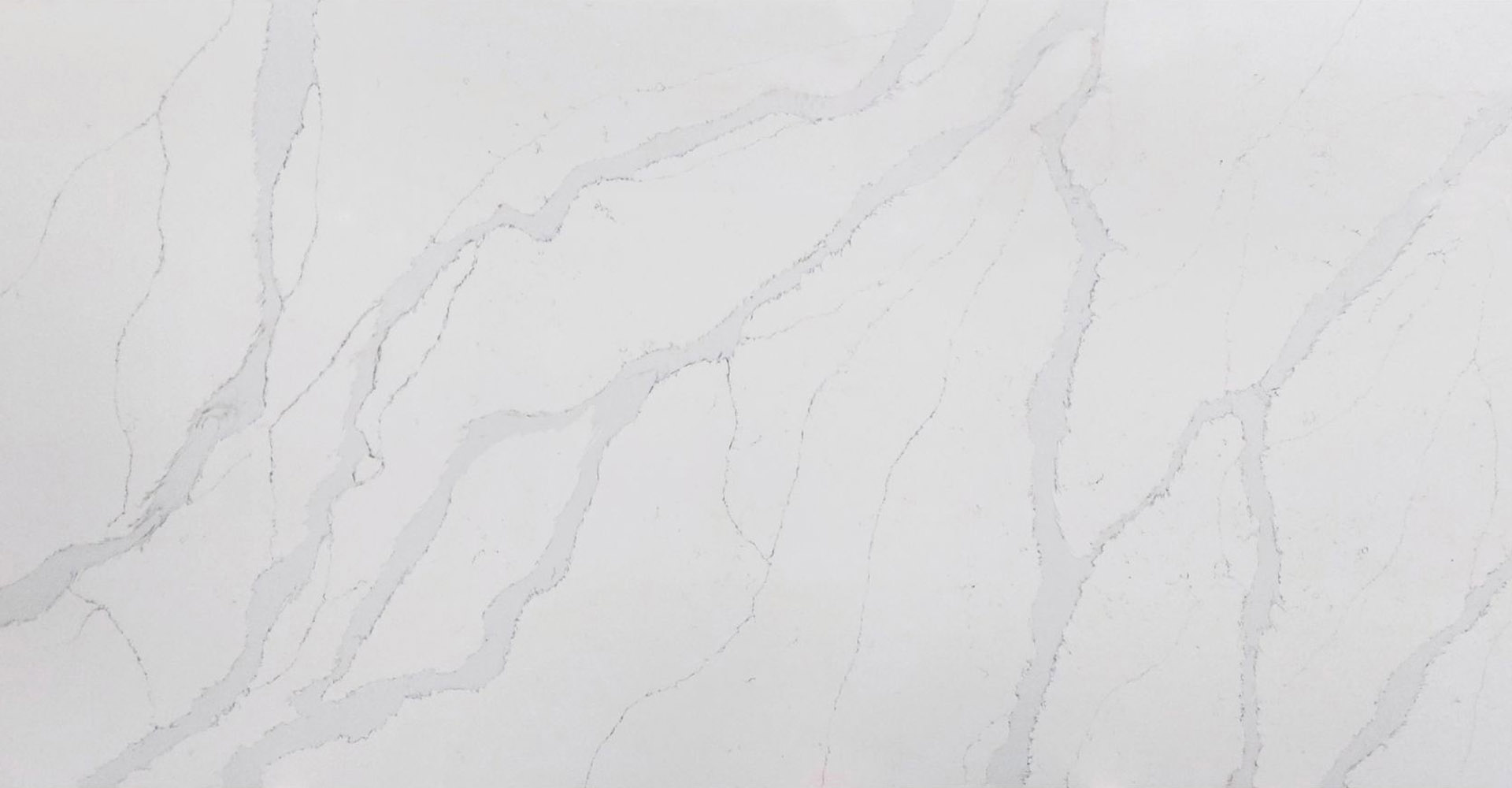 Calacatta Oro Slabs - image