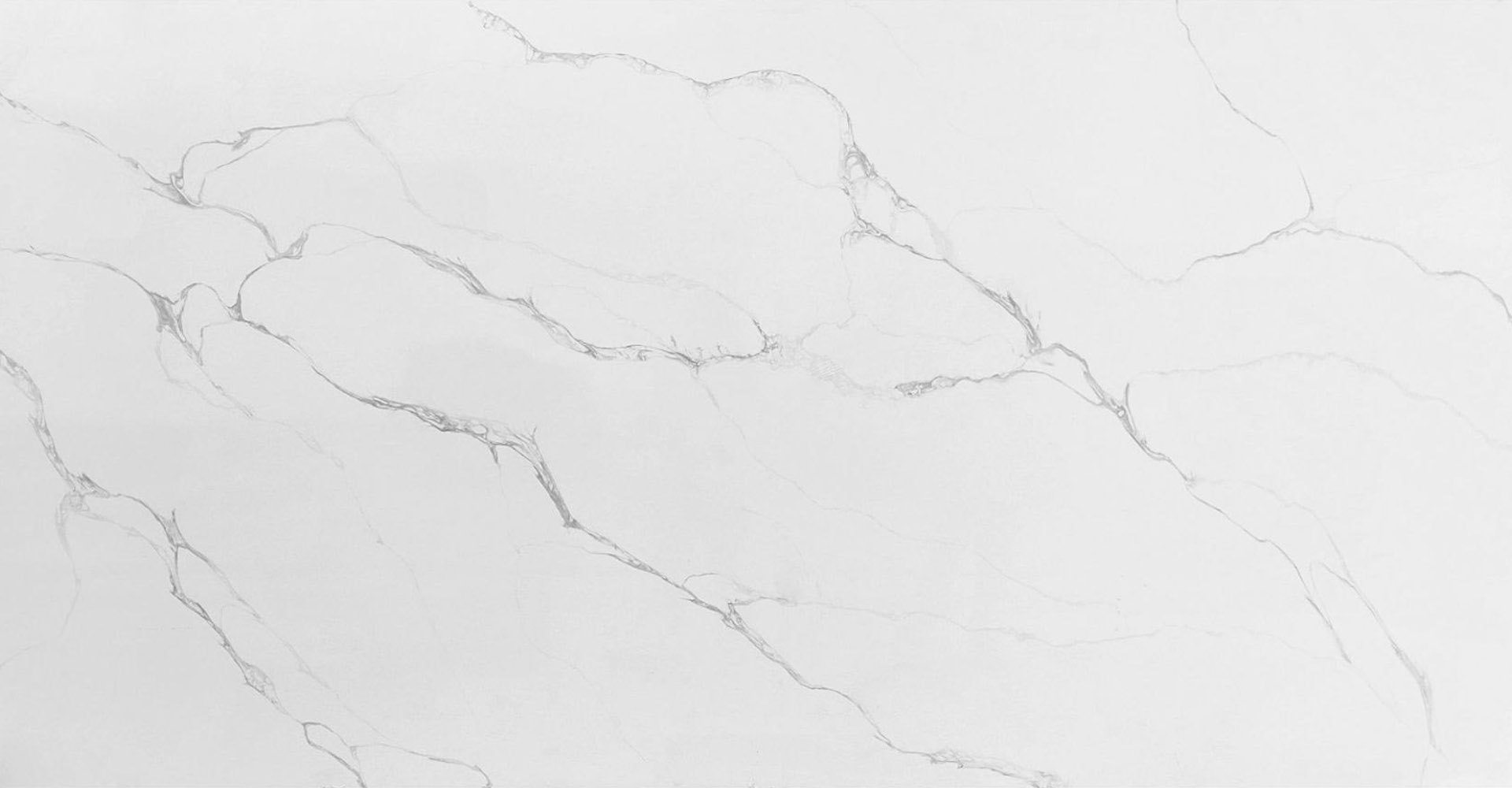 Calacatta Venetian Slabs - image