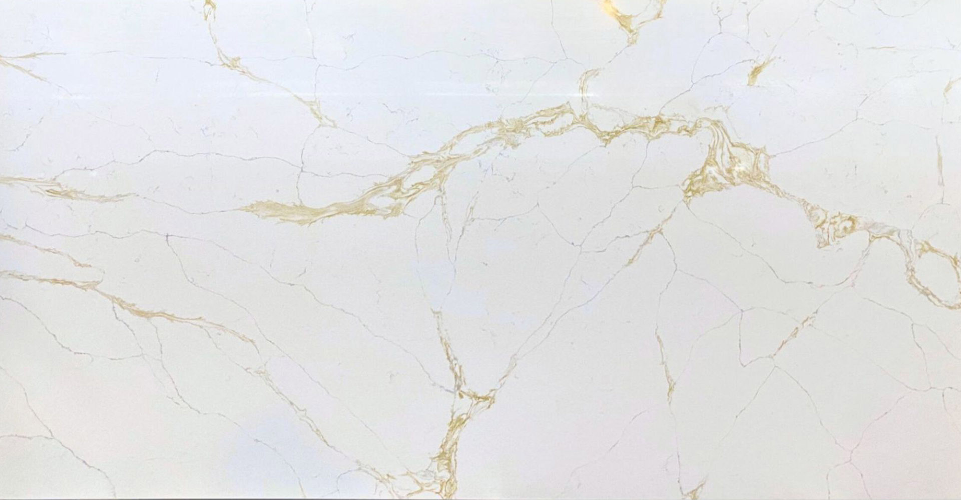 Calacatta Milano Slabs - image