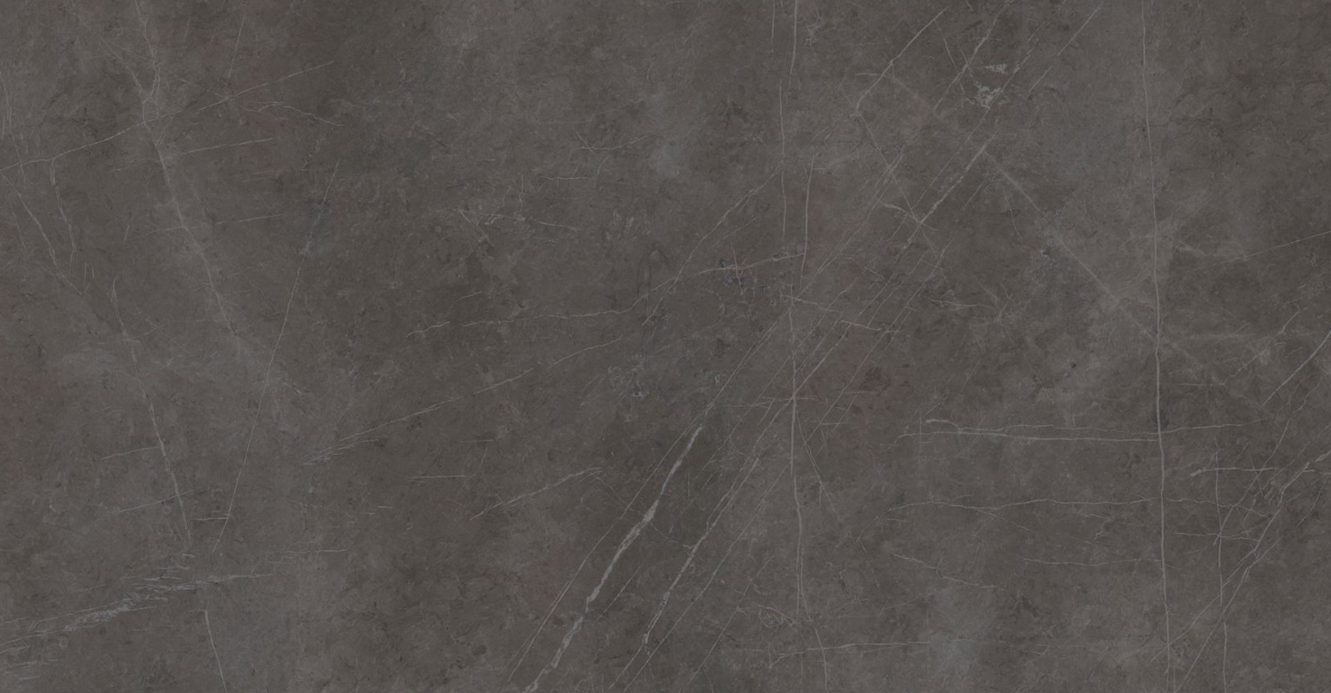 Pietra Grigia Slabs - image