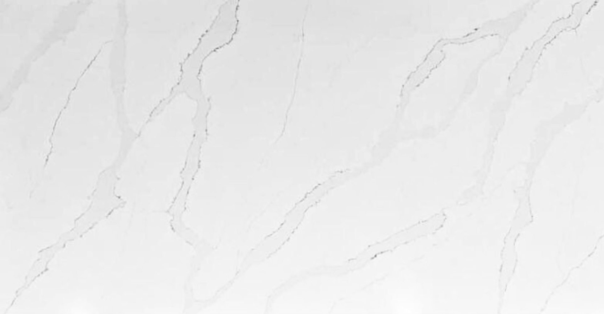 Calacatta Parma Slabs - image