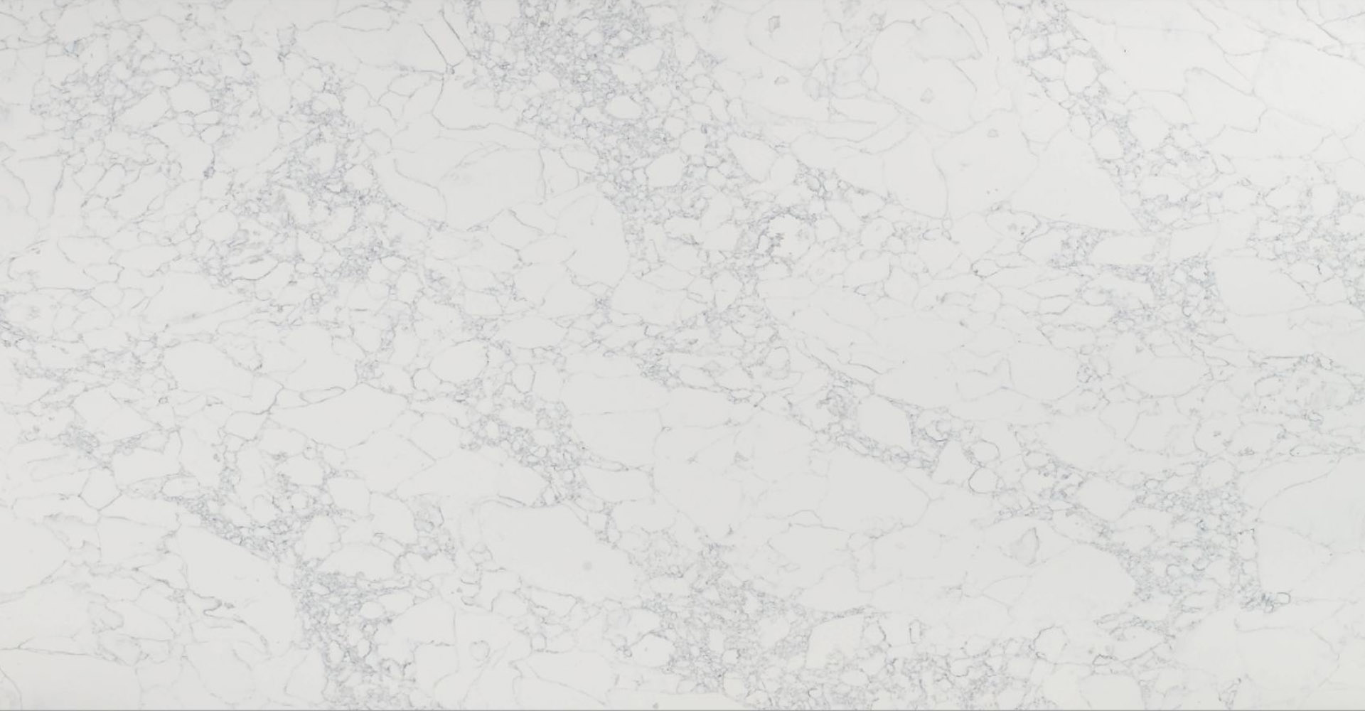 Calacatta Crema Slabs - image