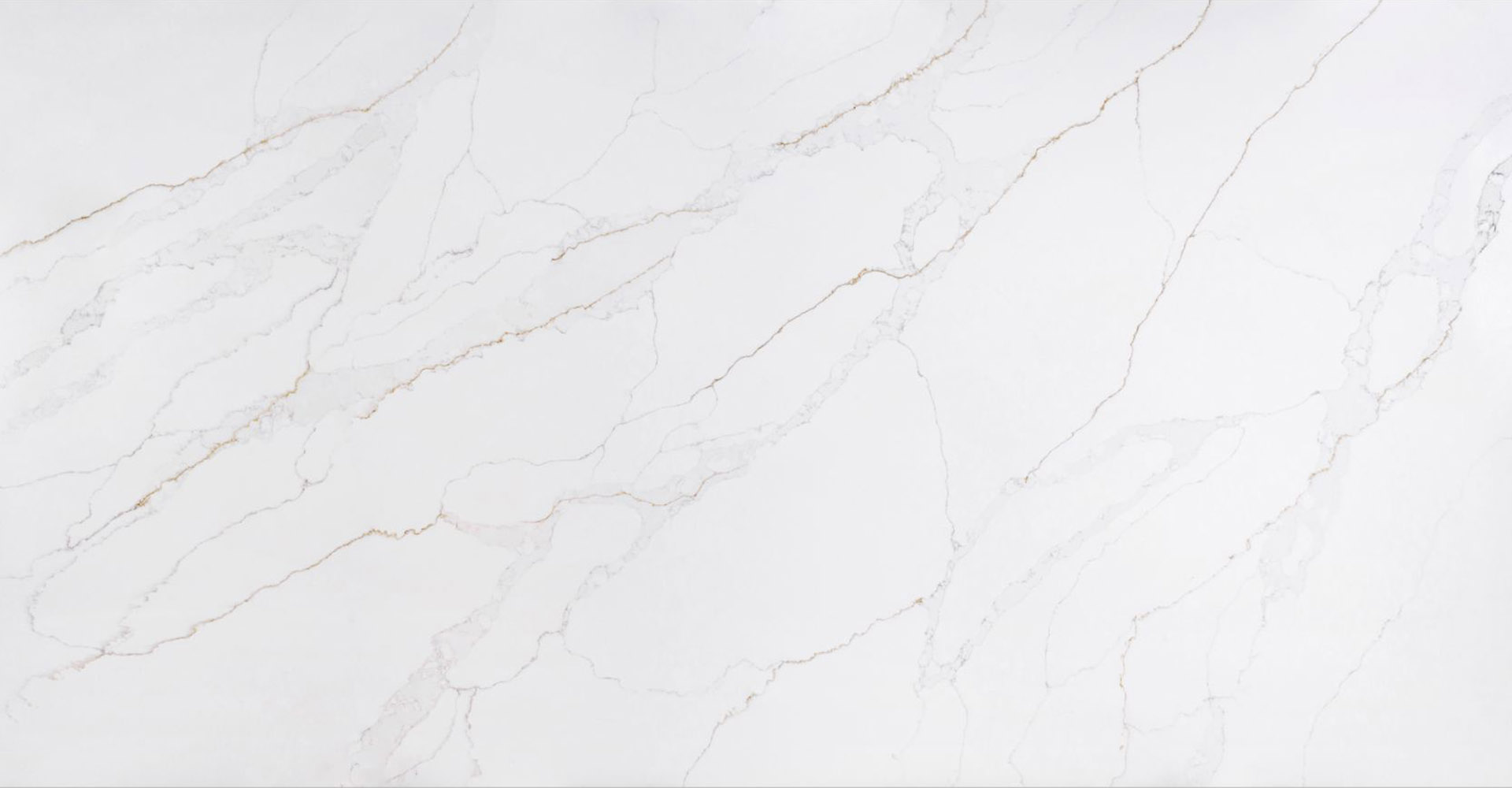 Calacatta Romano Slabs - image