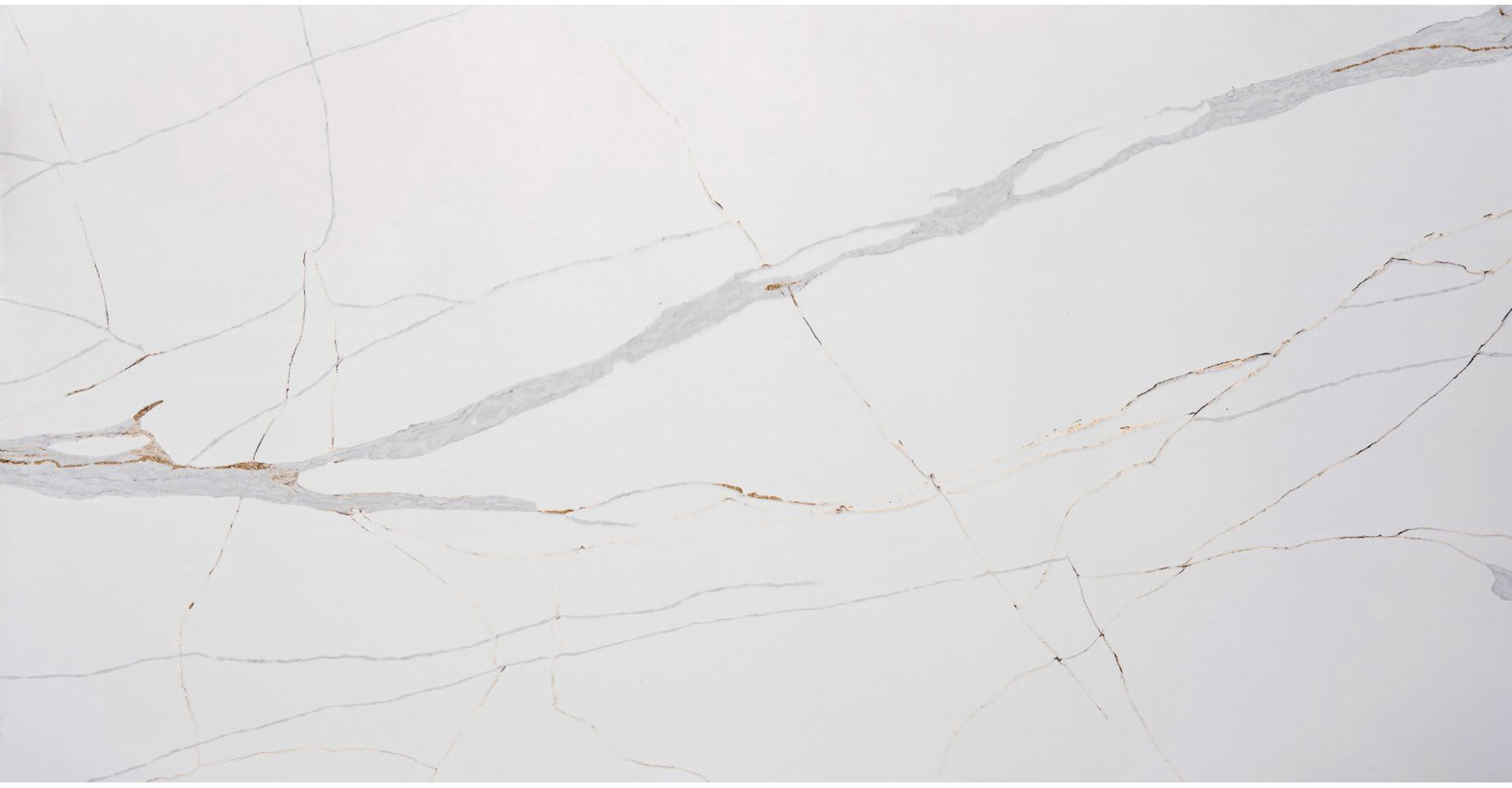 Calacatta Ana  Slabs - image